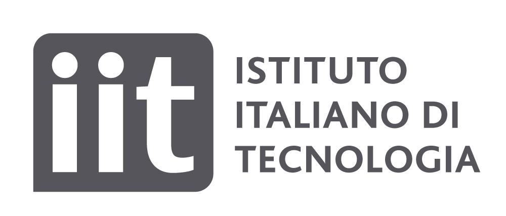 IIT-v4-logo-t2_2